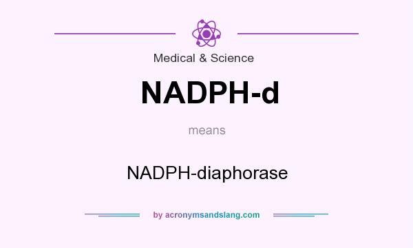 What does NADPH-d mean? It stands for NADPH-diaphorase