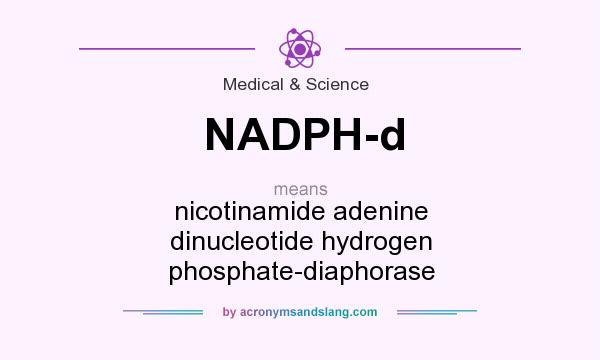 What does NADPH-d mean? It stands for nicotinamide adenine dinucleotide hydrogen phosphate-diaphorase