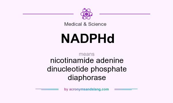 What does NADPHd mean? It stands for nicotinamide adenine dinucleotide phosphate diaphorase