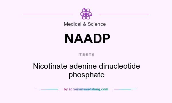 What does NAADP mean? It stands for Nicotinate adenine dinucleotide phosphate