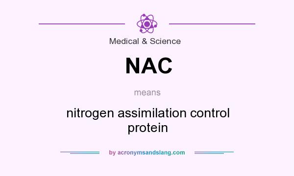 What does NAC mean? It stands for nitrogen assimilation control protein
