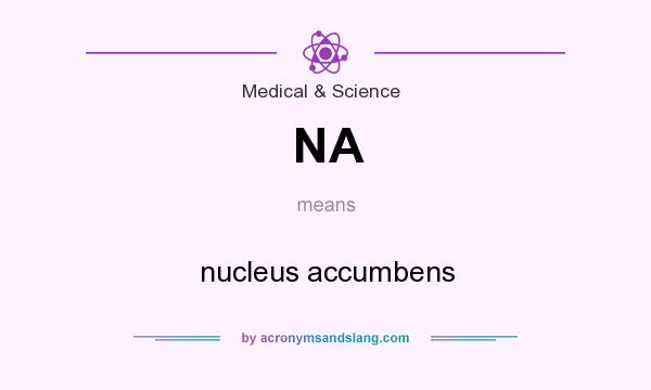 What does NA mean? It stands for nucleus accumbens