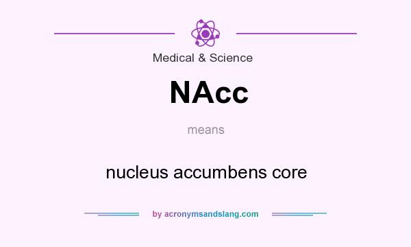 What does NAcc mean? It stands for nucleus accumbens core