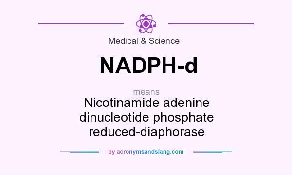 What does NADPH-d mean? It stands for Nicotinamide adenine dinucleotide phosphate reduced-diaphorase