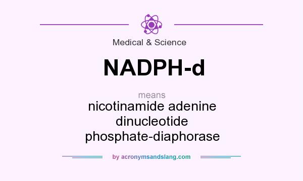 What does NADPH-d mean? It stands for nicotinamide adenine dinucleotide phosphate-diaphorase