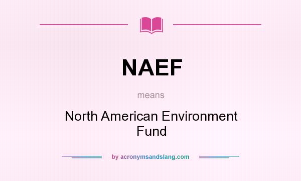 What does NAEF mean? It stands for North American Environment Fund