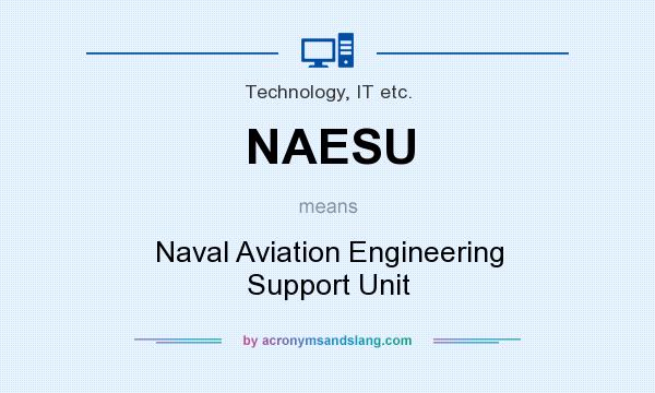 What does NAESU mean? It stands for Naval Aviation Engineering Support Unit