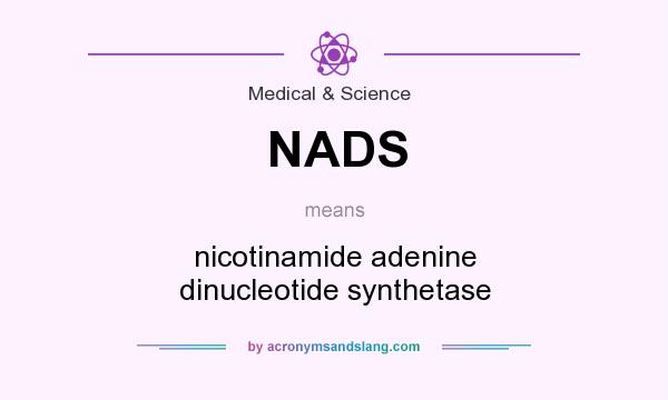 What does NADS mean? It stands for nicotinamide adenine dinucleotide synthetase