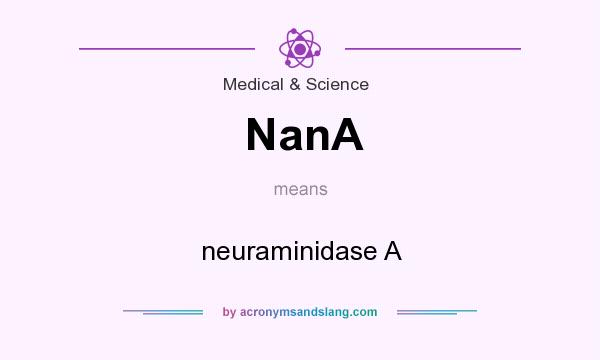 What does NanA mean? It stands for neuraminidase A