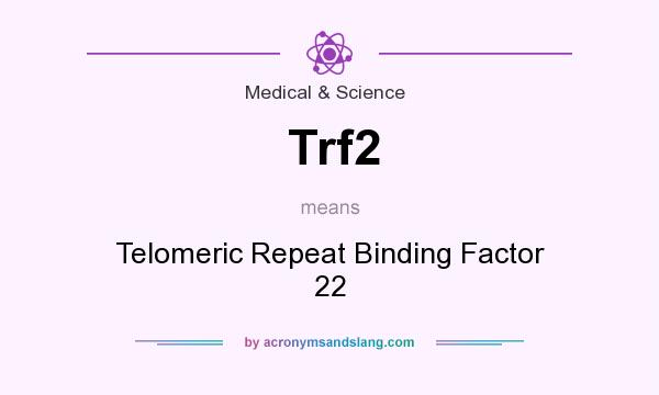 What does Trf2 mean? It stands for Telomeric Repeat Binding Factor 22