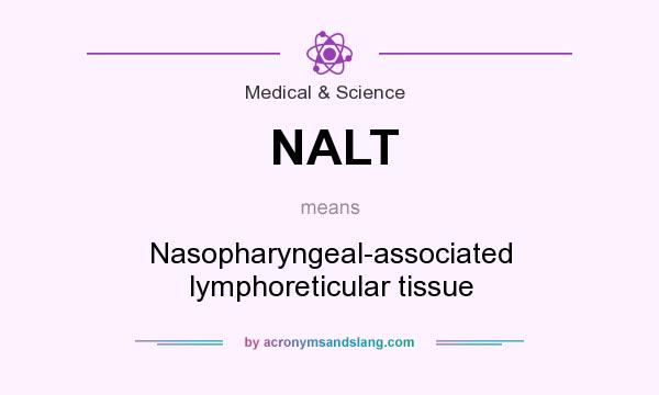 What does NALT mean? It stands for Nasopharyngeal-associated lymphoreticular tissue