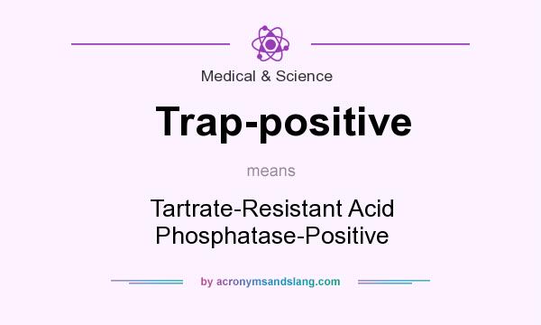 What does Trap-positive mean? It stands for Tartrate-Resistant Acid Phosphatase-Positive