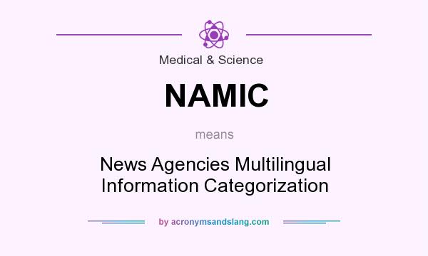 What does NAMIC mean? It stands for News Agencies Multilingual Information Categorization