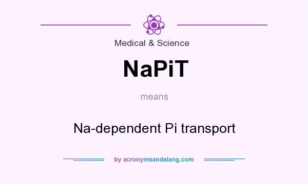What does NaPiT mean? It stands for Na-dependent Pi transport