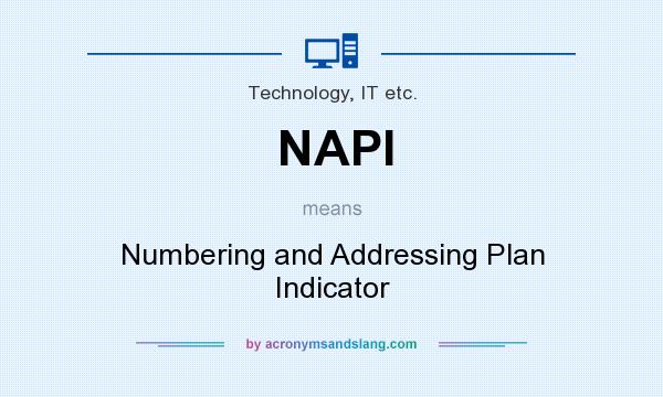What does NAPI mean? It stands for Numbering and Addressing Plan Indicator