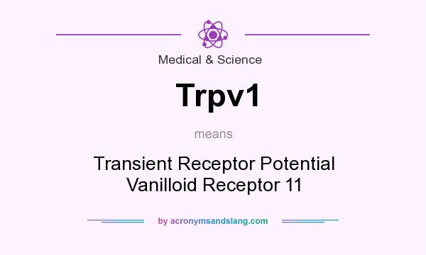 What does Trpv1 mean? It stands for Transient Receptor Potential Vanilloid Receptor 11