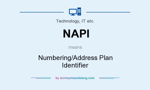 What does NAPI mean? It stands for Numbering/Address Plan Identifier