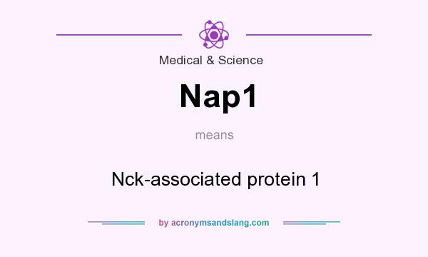 What does Nap1 mean? It stands for Nck-associated protein 1
