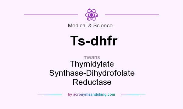 What does Ts-dhfr mean? It stands for Thymidylate Synthase-Dihydrofolate Reductase