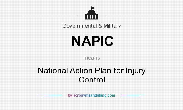 What does NAPIC mean? It stands for National Action Plan for Injury Control