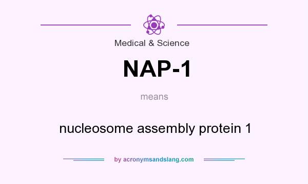 What does NAP-1 mean? It stands for nucleosome assembly protein 1