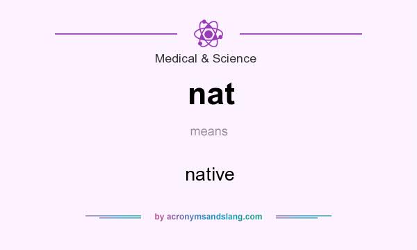 What does nat mean? It stands for native