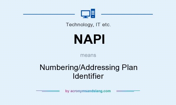 What does NAPI mean? It stands for Numbering/Addressing Plan Identifier