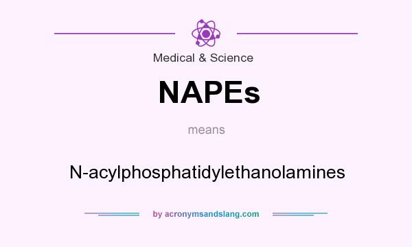 What does NAPEs mean? It stands for N-acylphosphatidylethanolamines