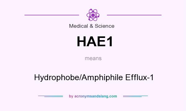 What does HAE1 mean? It stands for Hydrophobe/Amphiphile Efflux-1
