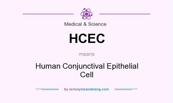 What does HCEC mean? It stands for Human Conjunctival Epithelial Cell