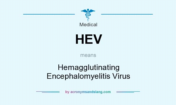 What does HEV mean? It stands for Hemagglutinating Encephalomyelitis Virus