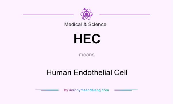 What does HEC mean? It stands for Human Endothelial Cell