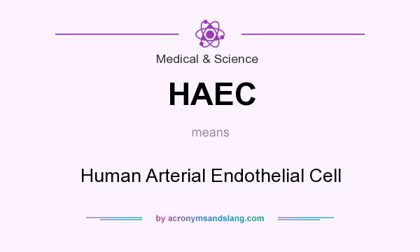 What does HAEC mean? It stands for Human Arterial Endothelial Cell