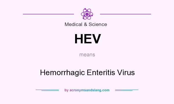What does HEV mean? It stands for Hemorrhagic Enteritis Virus