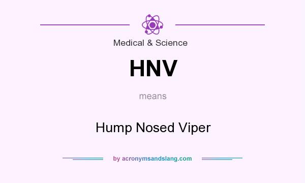 What does HNV mean? It stands for Hump Nosed Viper