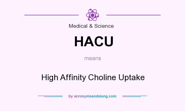 What does HACU mean? It stands for High Affinity Choline Uptake