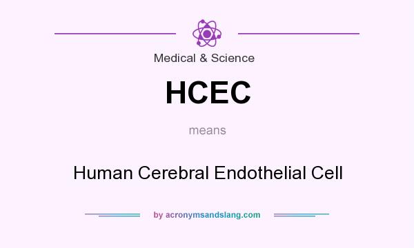 What does HCEC mean? It stands for Human Cerebral Endothelial Cell
