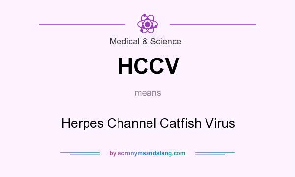 What does HCCV mean? It stands for Herpes Channel Catfish Virus