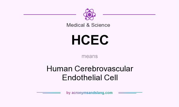 What does HCEC mean? It stands for Human Cerebrovascular Endothelial Cell