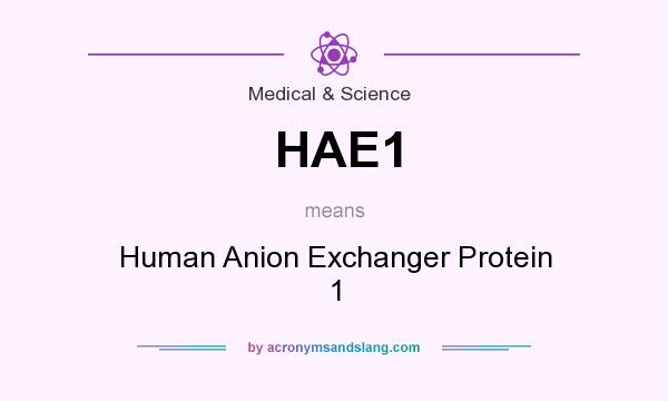 What does HAE1 mean? It stands for Human Anion Exchanger Protein 1