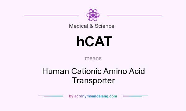 What does hCAT mean? It stands for Human Cationic Amino Acid Transporter