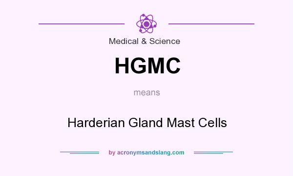 What does HGMC mean? It stands for Harderian Gland Mast Cells