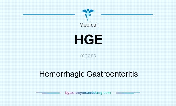 What does HGE mean? It stands for Hemorrhagic Gastroenteritis