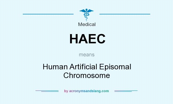 What does HAEC mean? It stands for Human Artificial Episomal Chromosome