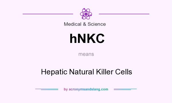 What does hNKC mean? It stands for Hepatic Natural Killer Cells