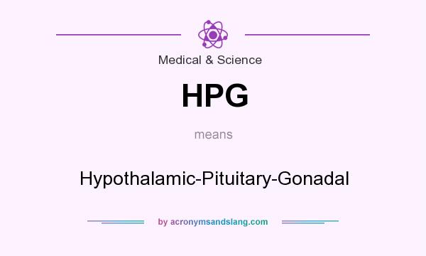What does HPG mean? It stands for Hypothalamic-Pituitary-Gonadal