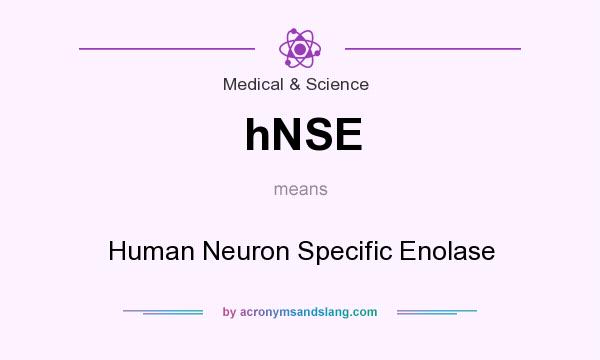 What does hNSE mean? It stands for Human Neuron Specific Enolase