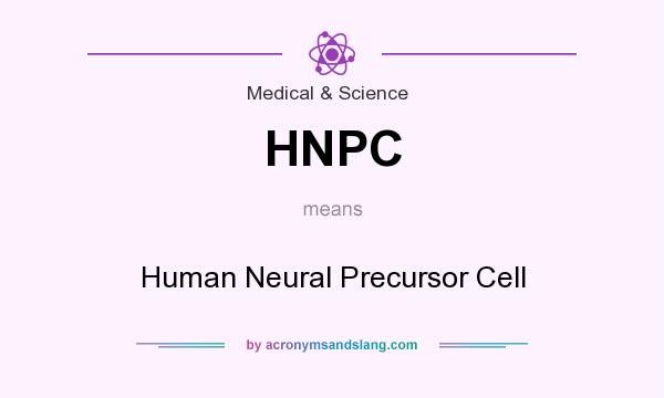 What does HNPC mean? It stands for Human Neural Precursor Cell
