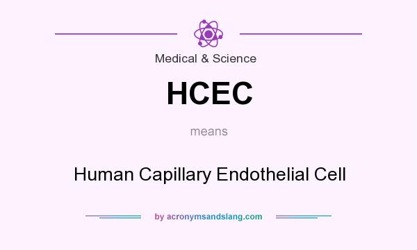 What does HCEC mean? It stands for Human Capillary Endothelial Cell