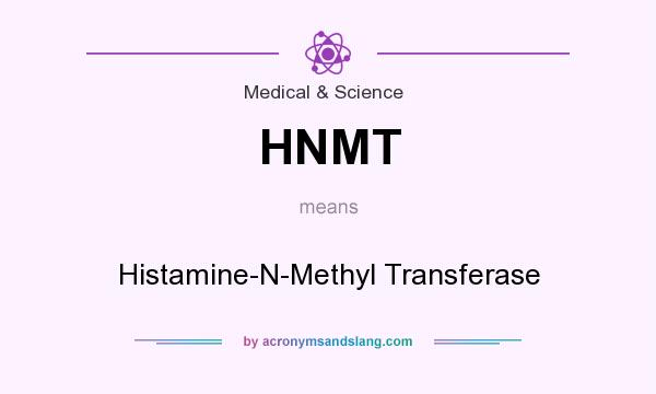What does HNMT mean? It stands for Histamine-N-Methyl Transferase